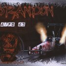 2009 TAD Handout Brandon Lewis