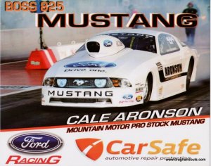 2010 PS Handout Cale Aronson (version #1)