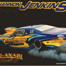 2010 PM Handout Shannon Jenkins