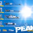 2012 NHRA AFC Handout Jay Payne (Peak Racing Team)