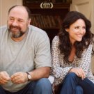 ENOUGH SAID DOUBLE SIDED ORIGINAL MOVIE POSTER 27x40 JAMES GANDOLFINI