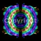 Copyright for image cda0009