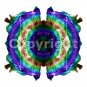 Copyright for image cda0009