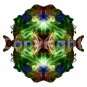 Copyright for image cda0014