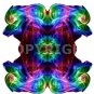 Copyright for image cda0005