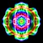 Copyright for image cda0011