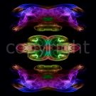 Copyright for image cda0012