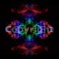 Copyright for image cda0013
