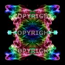 Copyright for image saa_0023