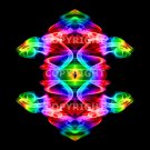 Copyright for image saa_0042