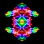 Copyright for image saa_0042