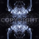 Copyright for image pic_0019