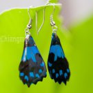 Butterfly BLUE Wings Earrings Jewelry, Natural feel, Beauty, Stunning