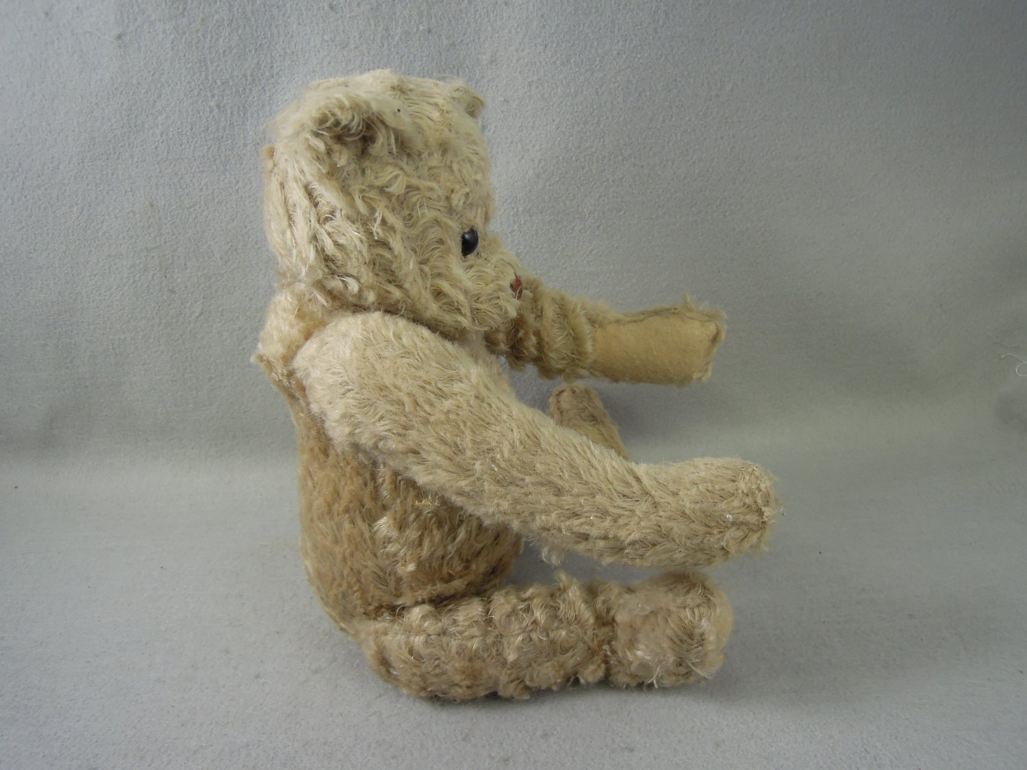 teddy bear that moves