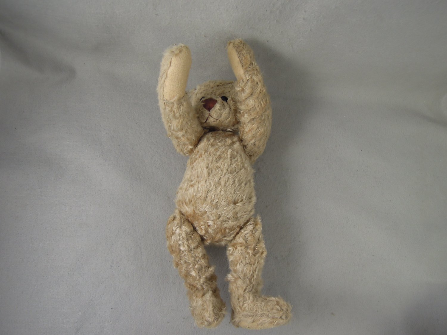teddy bear that moves