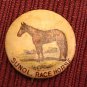 1896 pepsin gum company advertising pin back, sunol the horse
