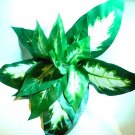 HL Artificial Plastic Flowers Green Leaf Plant Home Decoration