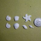 Sea Shell 1
