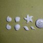 Sea Shell 1