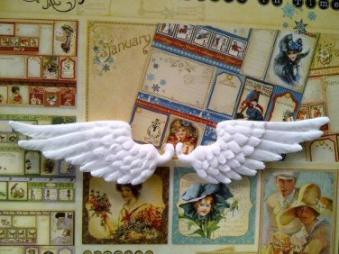 Wing