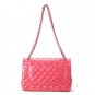 Chanel Women's Designer Handbags Purses Hobo #19