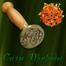 Unique Magical Witch stamp Esoteric Forces of Nature