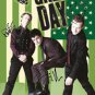 Green Day Autographed Signed Green American Flag Poster