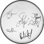 Aerosmith Steven Tyler Joe Perry Autographed Signed Clear Drumhead