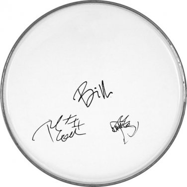Green Day Autographed Signed Clear Drumhead Billie Joe Armstrong Plus