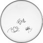 Green Day Autographed Signed Clear Drumhead Billie Joe Armstrong Plus