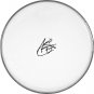Janet Jackson Autographed Signed Clear Drumhead