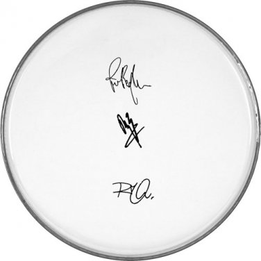 Led Zeppelin Autographed Signed Clear Drumhead Jimmy Page - Robert Plant