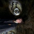 POTTERHARRYdanieltunnel Autographed Preprint Signed Photo