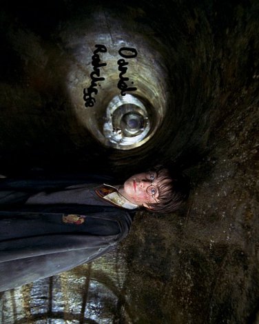 POTTERHARRYdanieltunnel Autographed Preprint Signed Photo