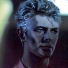 bowieDavidx Autographed Preprint Signed Photo