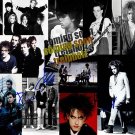 curecollage Autographed Preprint Signed Photo