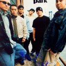 linkinparkb Autographed Preprint Signed Photo
