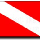 Diver Down Auto Decal