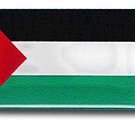 Palestine Mini Domed Sticker