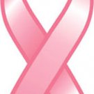 Breast Cancer Awareness - 4"" x 8"" Magnet (plain)