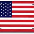 USA Plastic License Plate