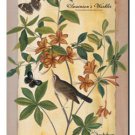 Swainson's Warbler Toland Art Banner