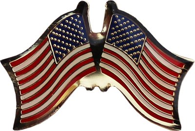 USA Friendship Lapel Pin