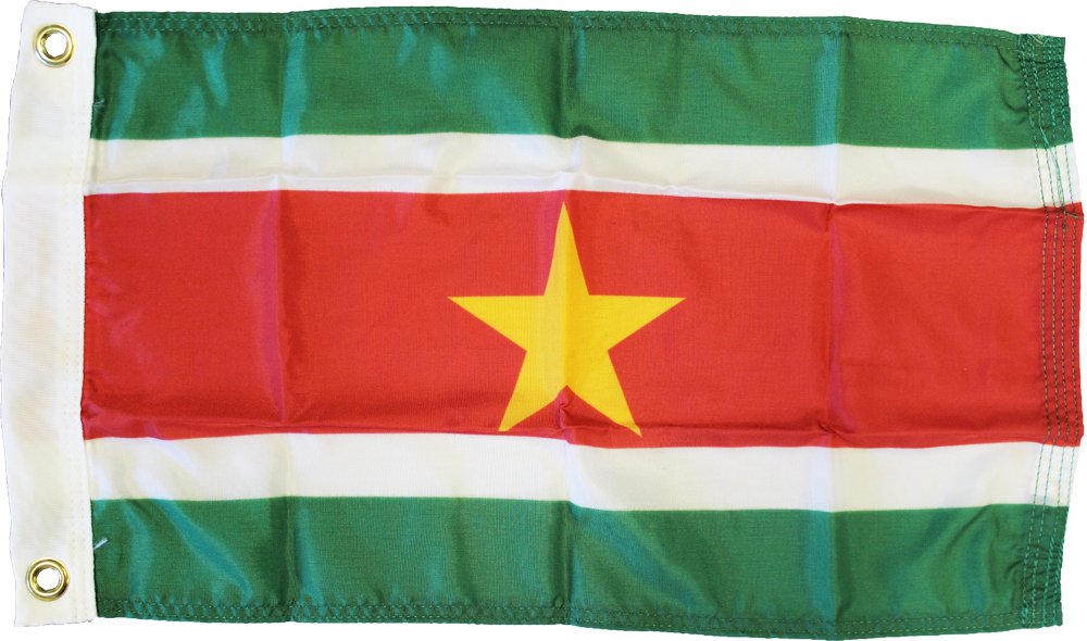 Suriname - 12"X18" Nylon Flag