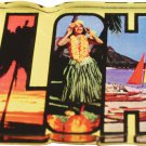 Hawaii Acrylic Postcard Magnet