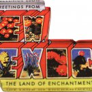 New Mexico Acrylic Postcard Magnet