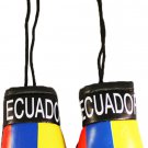 Ecuador Mini Boxing Gloves