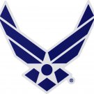 Air Force Wings Magnet