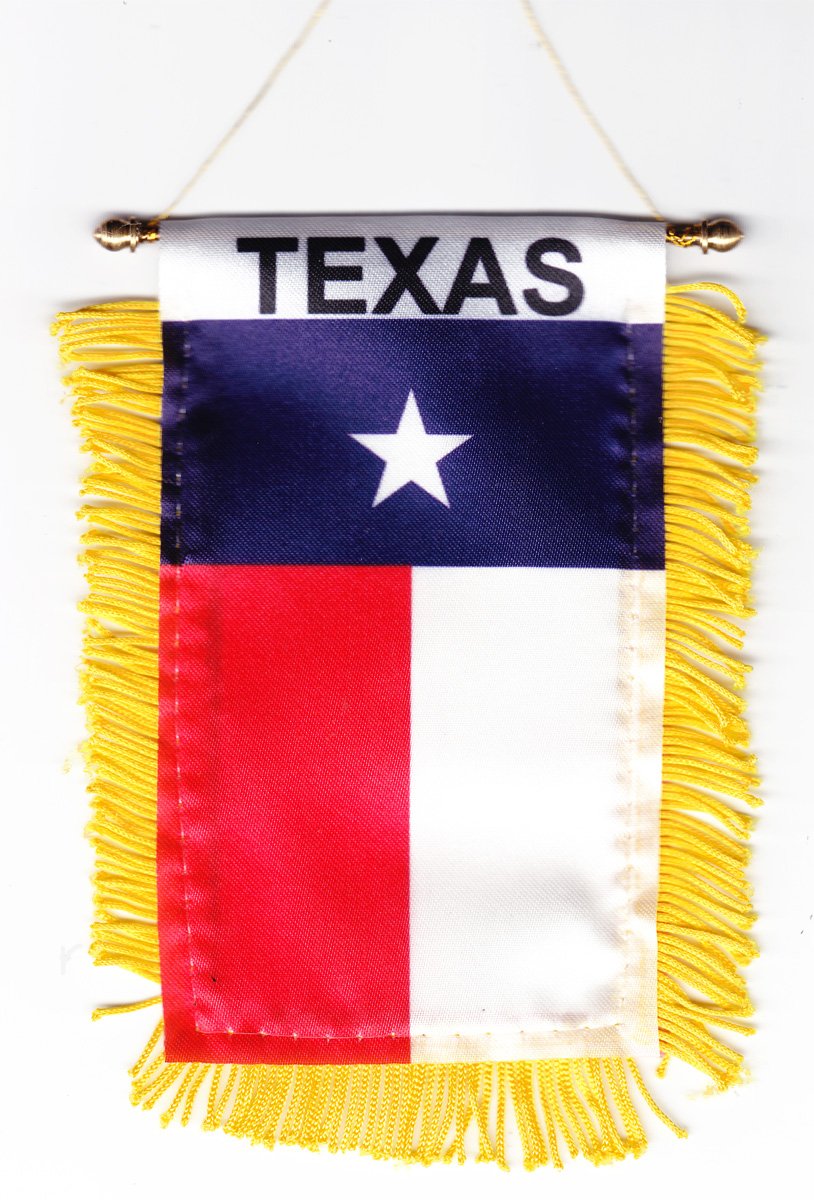 Texas Window Hanging Flag