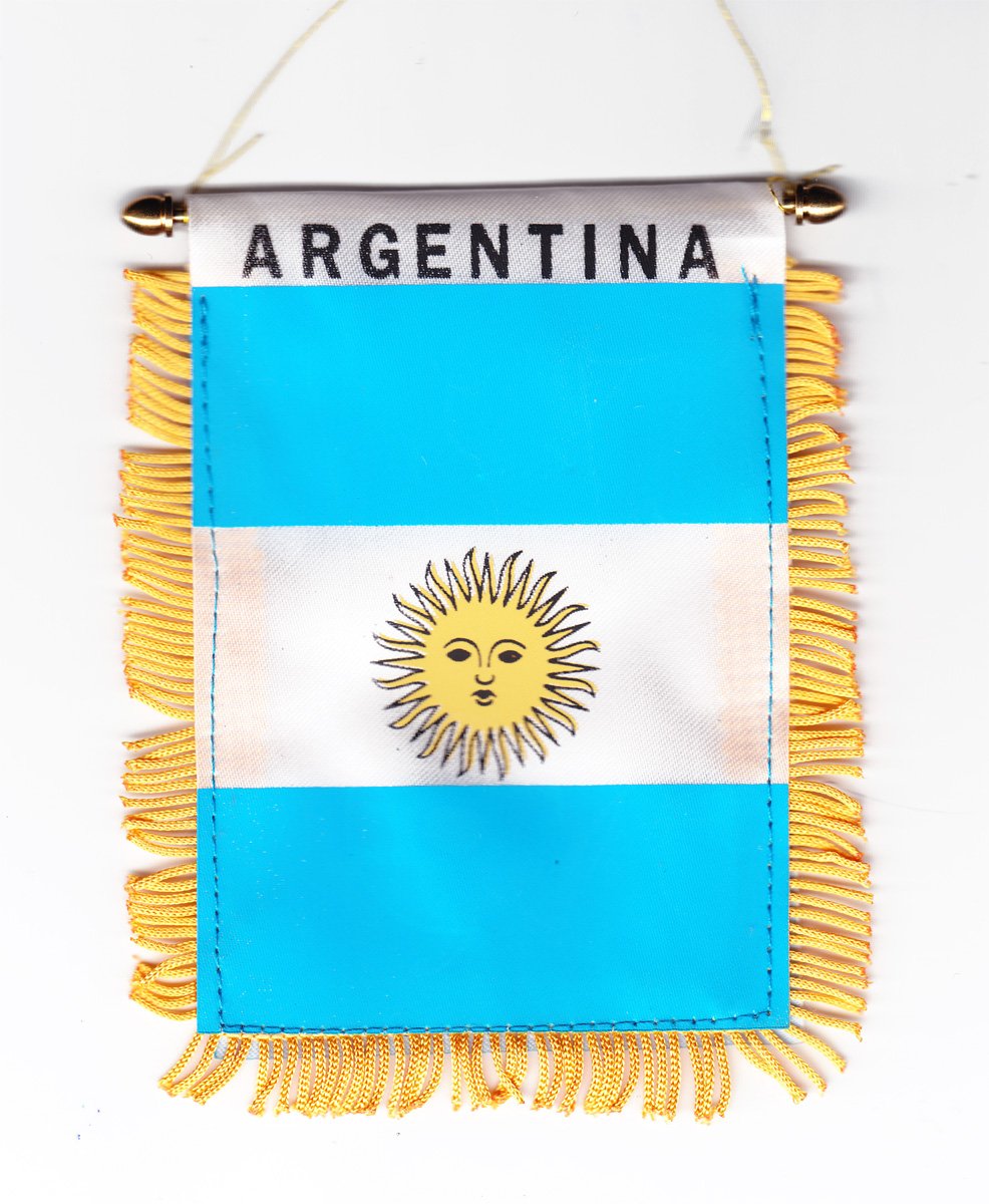 Argentina Window Hanging Flag